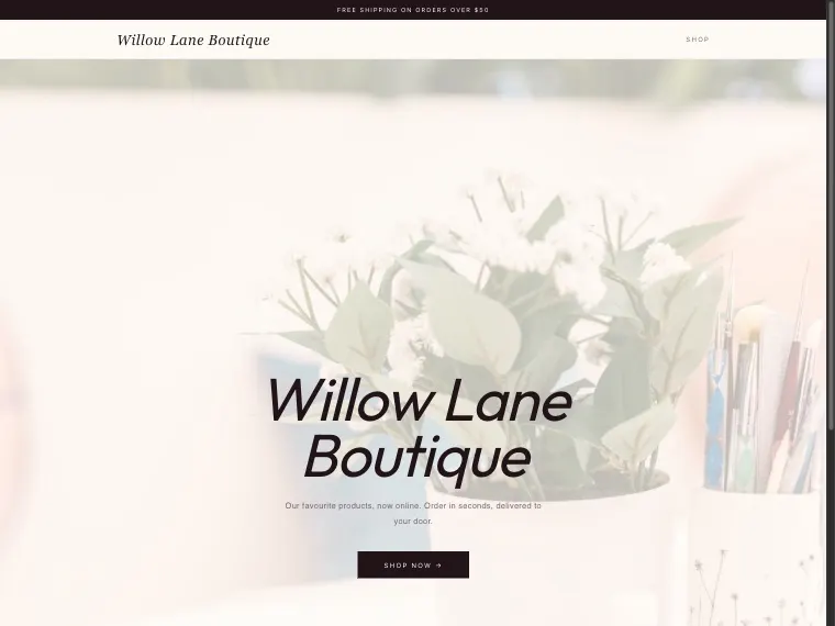 The Willow Lane Boutique demo site